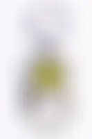 CustomPatch.Com