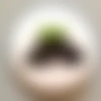 CustomPatch.Com