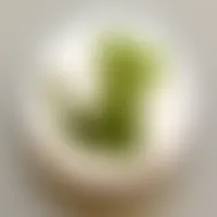 CustomPatch.Com