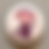 CustomPatch.Com