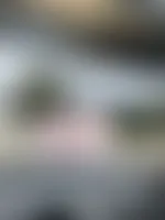 CustomPatch.Com
