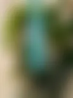CustomPatch.Com