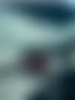 CustomPatch.Com