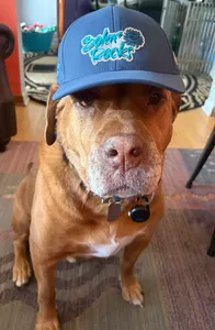 CustomPatch.Com - Full Color TPU