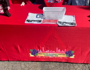 CustomPatch.Com - Custom Rectangle Table Covers