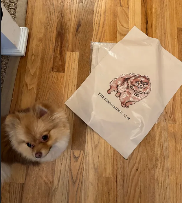 CustomPatch.Com - Custom Poly Mailer