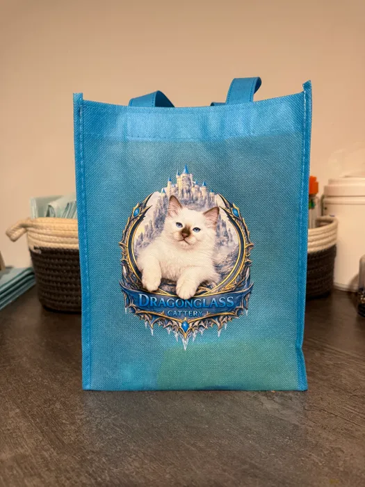CustomPatch.Com - Custom Small Gift Tote Bag