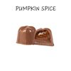 Gourmet Chocolate Truffles with Full Color Lid Gift Box - 20 pc 
