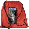 Road Warrior Tradeshow Kit 