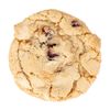 Fresh Beginnings Individually Wrapped Cranberry Cookie 