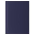 Tucson Medium Journal Deep Blue