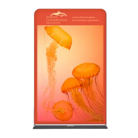 EZ Extend Displays - Custom Patch