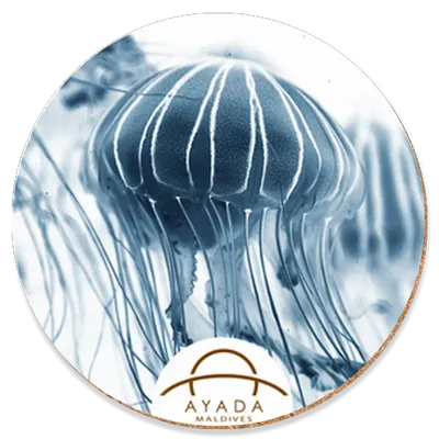 Round Round - Custom Patch