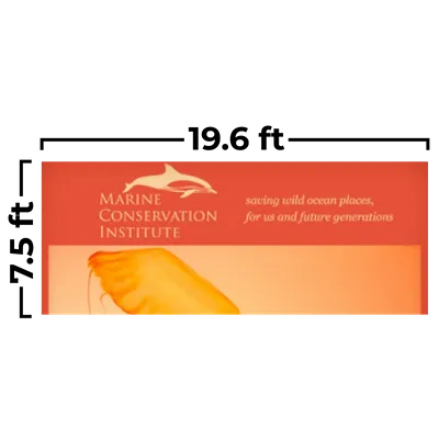 19.6 x 7.5ft 19.6 x 7.5ft - Custom Patch