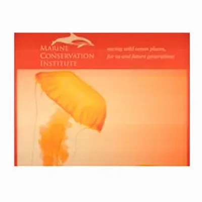 None None - Custom Patch