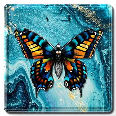 Square - Custom Patch