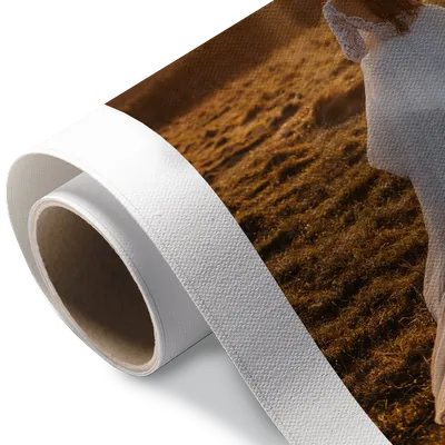 Rolled Canvas Rolled Canvas - Custom Patch