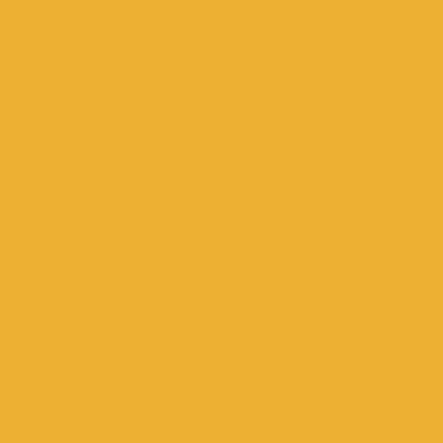 Orange - Custom Patch