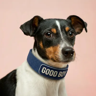 Pet Harness - Custom Patch