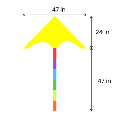 24in L x 47in W (47in Tail Length)
