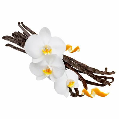 Vanilla - Custom Patch