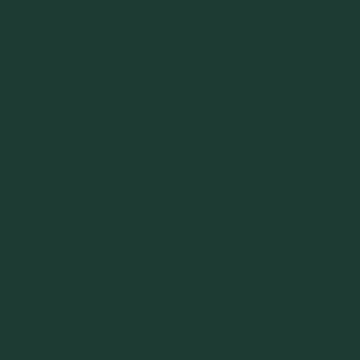 Dark Green - Custom Patch