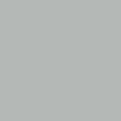 Light Gray - Custom Patch