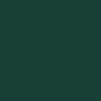 Forest Green - Custom Patch