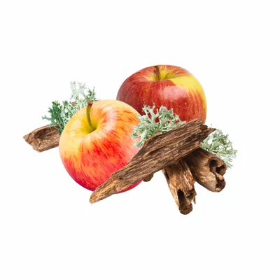 Oak Moss - Custom Patch