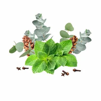 Eucalyptus & Mint - Custom Patch