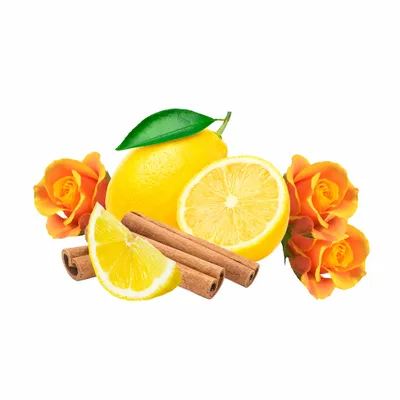 Amber - Custom Patch