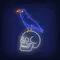 Crow Sitting Human Skull Neon Sign - Custom Patch