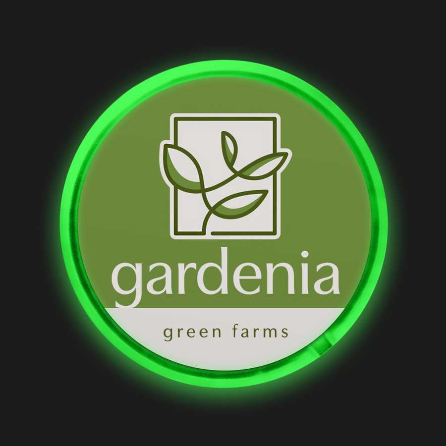 Light Button Pins - Custom Patch